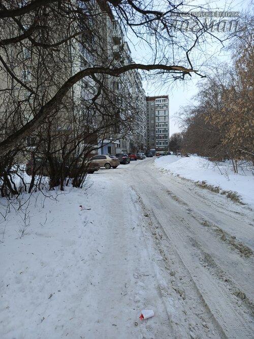 IMG_20260314_093131_255